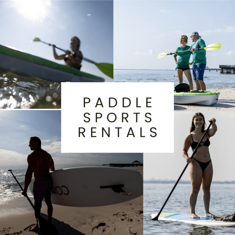People using paddleboards and kayaks on the water under sunny skies.