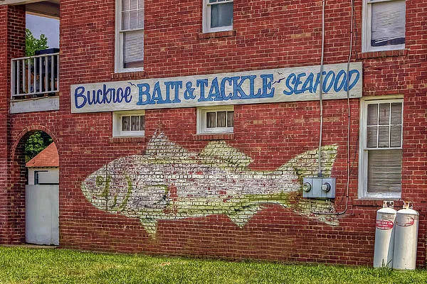 Fish mural on brick wall of Buckroe Bait & Tackle – Seafood shop in Hampton, Virginia.